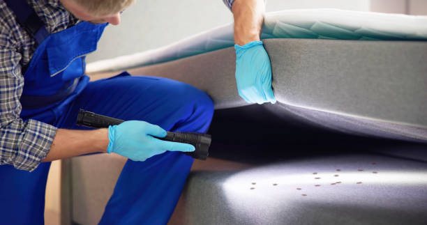 Best Emergency Pest Control  in Scottdale, PA