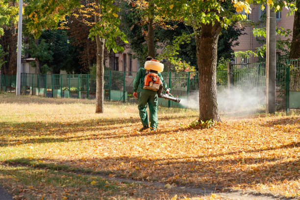 Best Local Pest Control Services  in Scottdale, PA